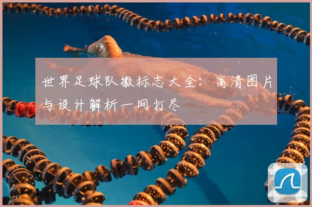 世界足球队徽标志大全：高清图片与设计解析一网打尽