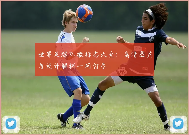 世界足球队徽标志大全:高清图片与设计解析一网打尽